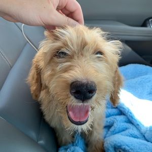 Meet your Posher, Kegan